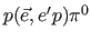 $p(\vec e,e^\prime p)\pi^0$