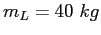 $m_L = 40~kg$