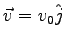 $\vec v = v_0 \hat j$