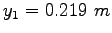 $y_1 = 0.219~m$