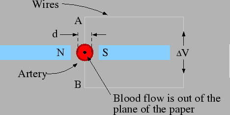 \includegraphics[]{fig4.eps}