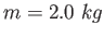 $m = 2.0~kg$