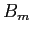 $B_m$