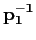 ${\bf p_1^{-1}}$