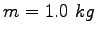 $m = 1.0~kg$