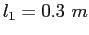 $l_1 = 0.3~m$
