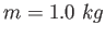$m=1.0~kg$