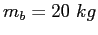 $m_b=20~kg$