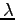 \( \lambda \)