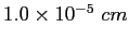 $1.0 \times 10^{-5}~cm$