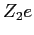 $Z_2 e$