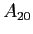 $A_{20}$
