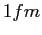 $1 fm$
