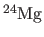 $\rm ^{24}Mg$