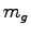 $m_g$