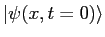 $\vert\psi(x,t=0)\rangle$
