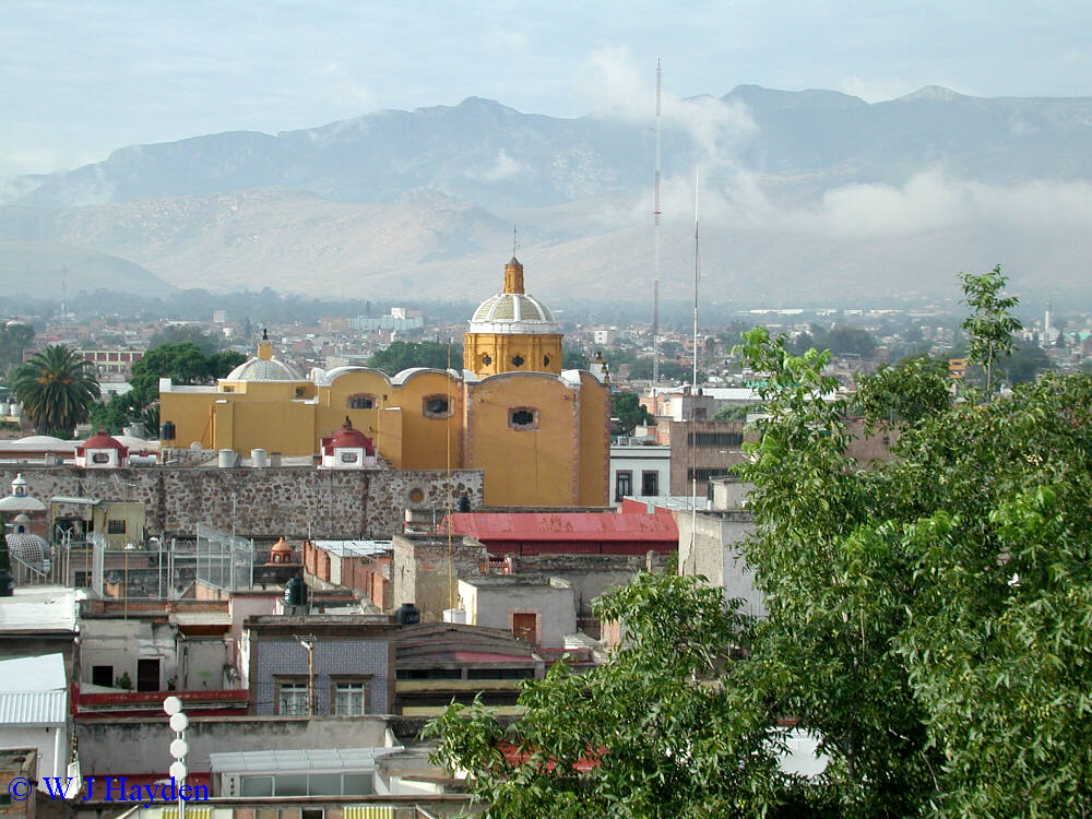 Debuta el potosino Jesús Cruz con Cardenales de SL - El Sol de San Luis   Noticias Locales, Policiacas, sobre México, San Luis Potosí y el Mundo